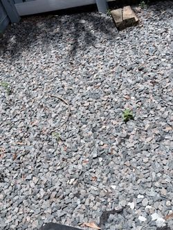 Free rocks