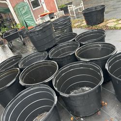 Post De Sembrar 25 Gal $12.00 Each Kissimmee Bvl 