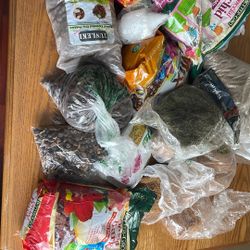 Orchid Potting Mix Moss Pebbles And More