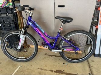 Youth 21 speed mountain bike