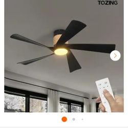 Ceiling Fan 