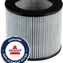 Bissell Air Filter Replacement 2801