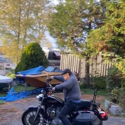 1998 Harley Davidson 883XL