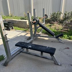 Incline and Flat Bench Presses + Barbell and Assorted Weights