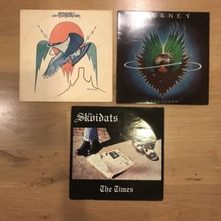 Vintage Vinyl (1 of 2)