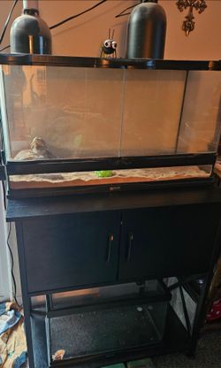 25 gallon reptile terranium With stand, make me an offer!!