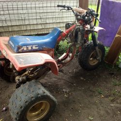 Honda 250 3Wheeler