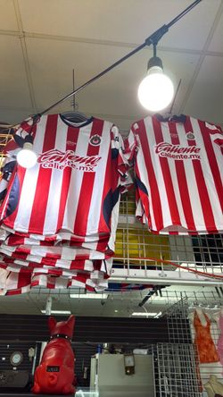 Chivas la. nueva nueva