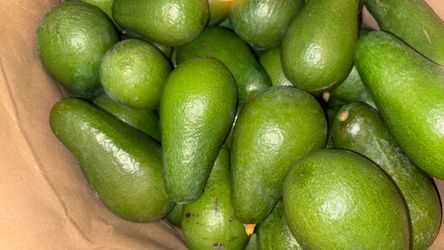 Organic natural Avocados 🥑