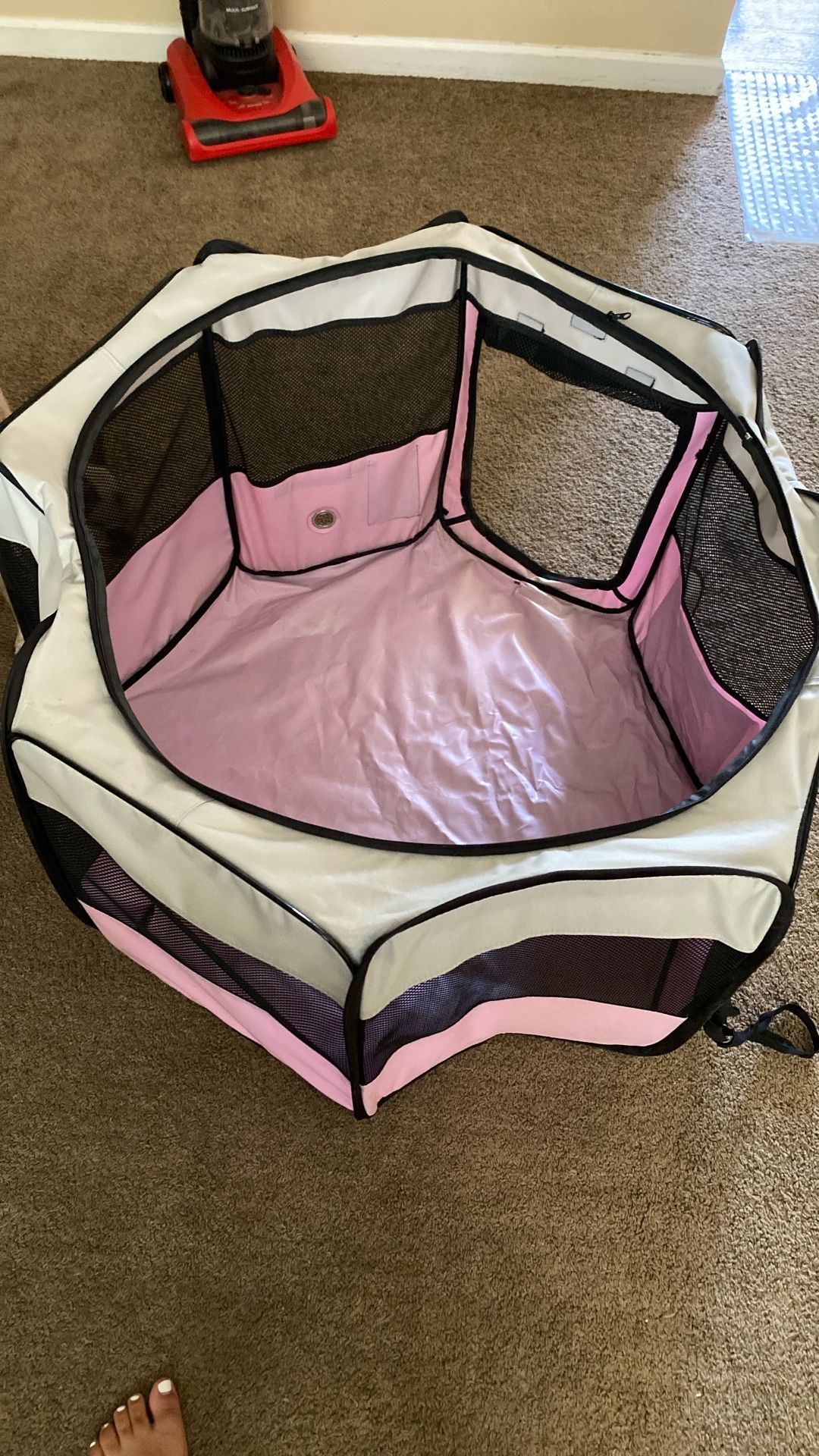 Little Dogs Cage