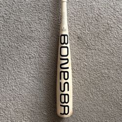 Warstic Bonesaber USA Bat