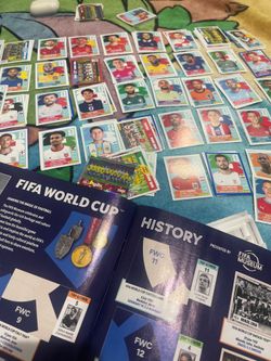 Fifa World Cup panini