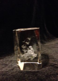 Beautiful Etched Paperweight