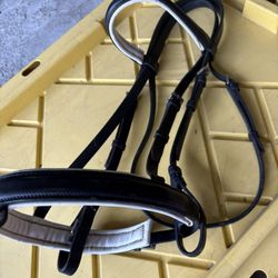 Dressage Horse Bridle 