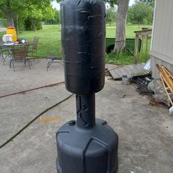 Punching Bag