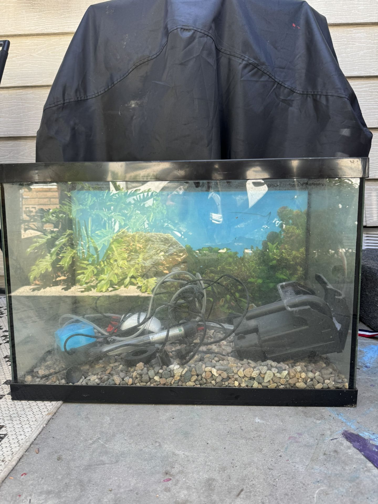 Aquarium With Accessories 