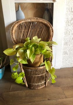 Vintage wicker mini chair