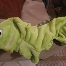 Dinosaur Dog Outfit