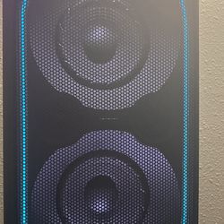 Big Sony Bluetooth Speakers 