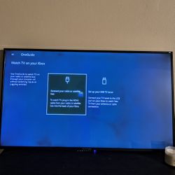 65' Sceptre Flatscreen TV