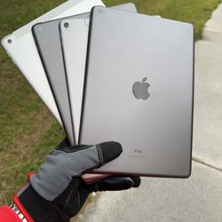 iPads 5 / 6 / 8 / Pro