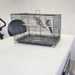 Bird Cage