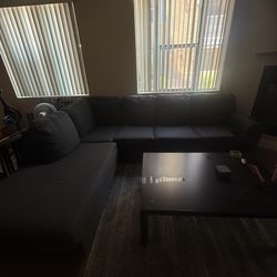 Grey Couch 