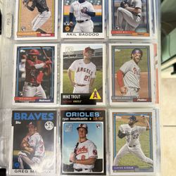 Sports Card collection