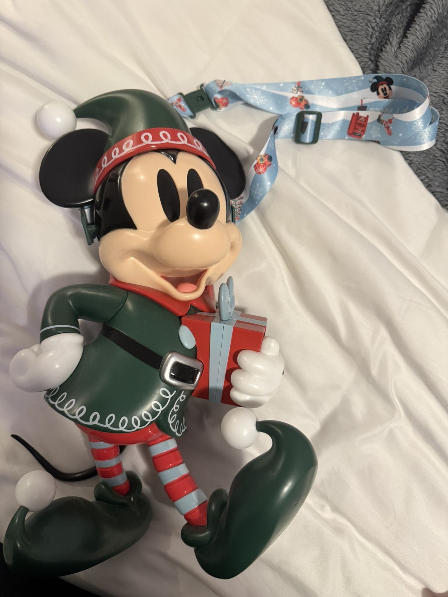 Disneyland Popcorn Bucket