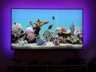HUGE 85" TCL 4K Roku Smart TV - Like New + Free Mount
