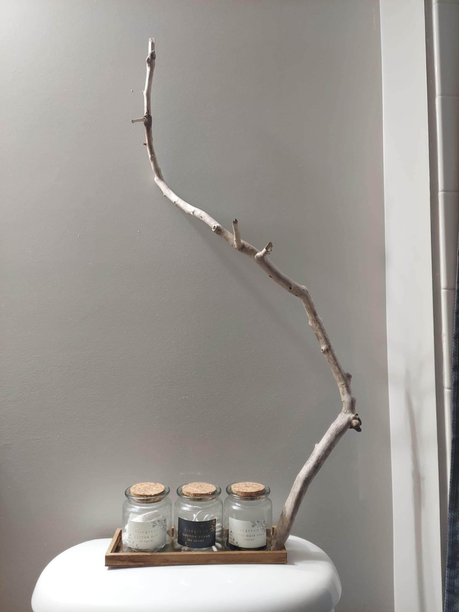 Lightweight Birch Decorative Driftwood 