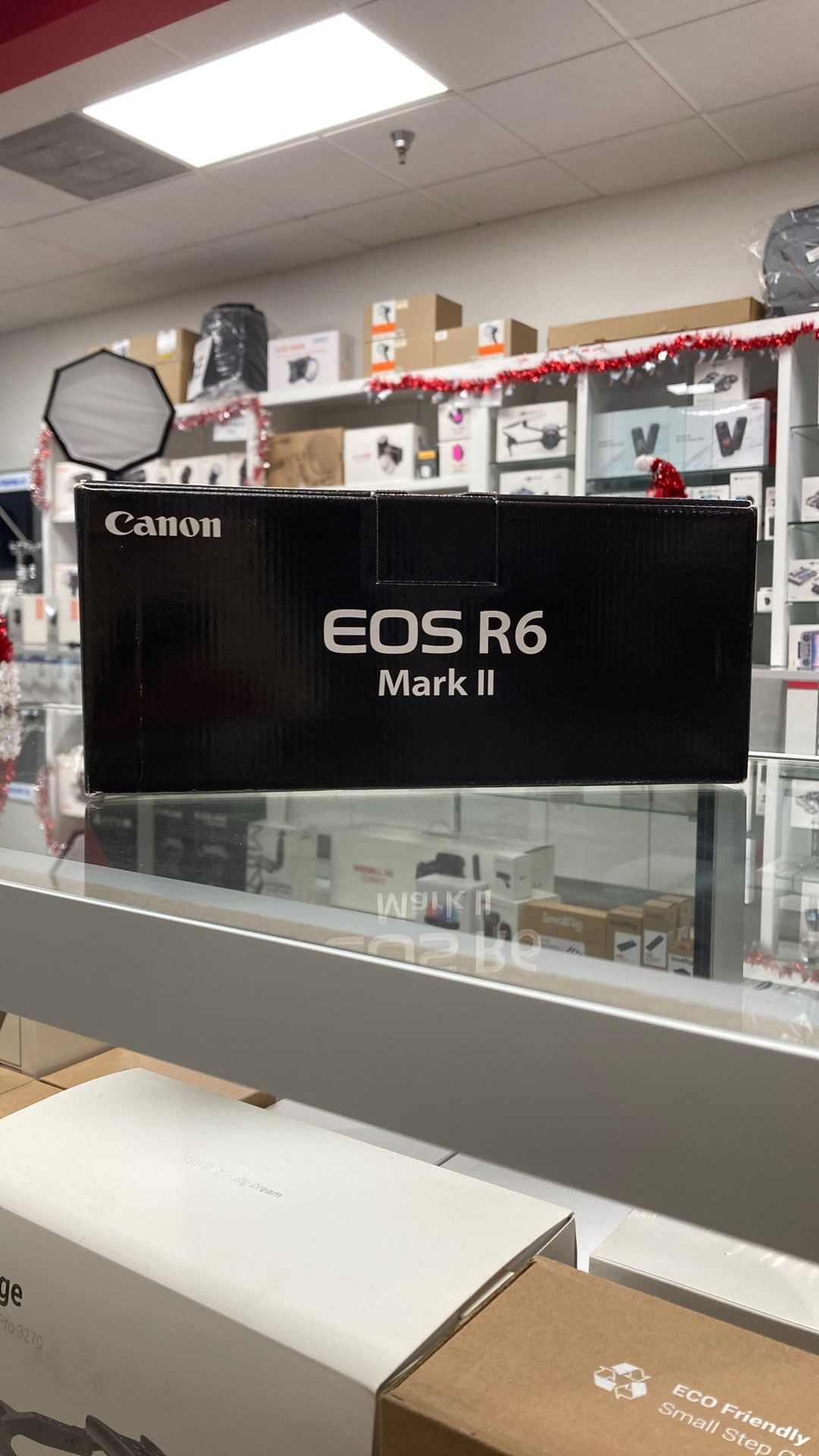 Canon R6 Mark II Body