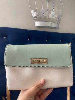 Calvin Klein purse