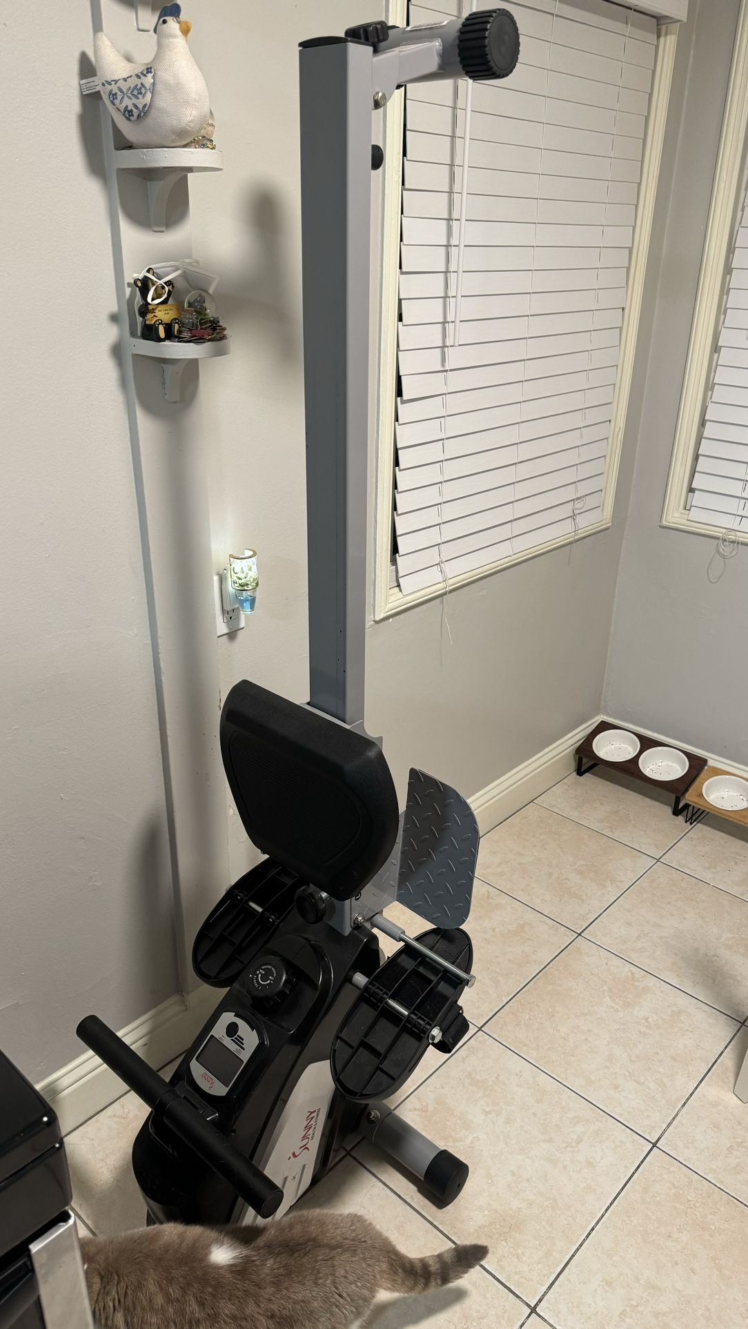 Sunny Health Rowing Machine