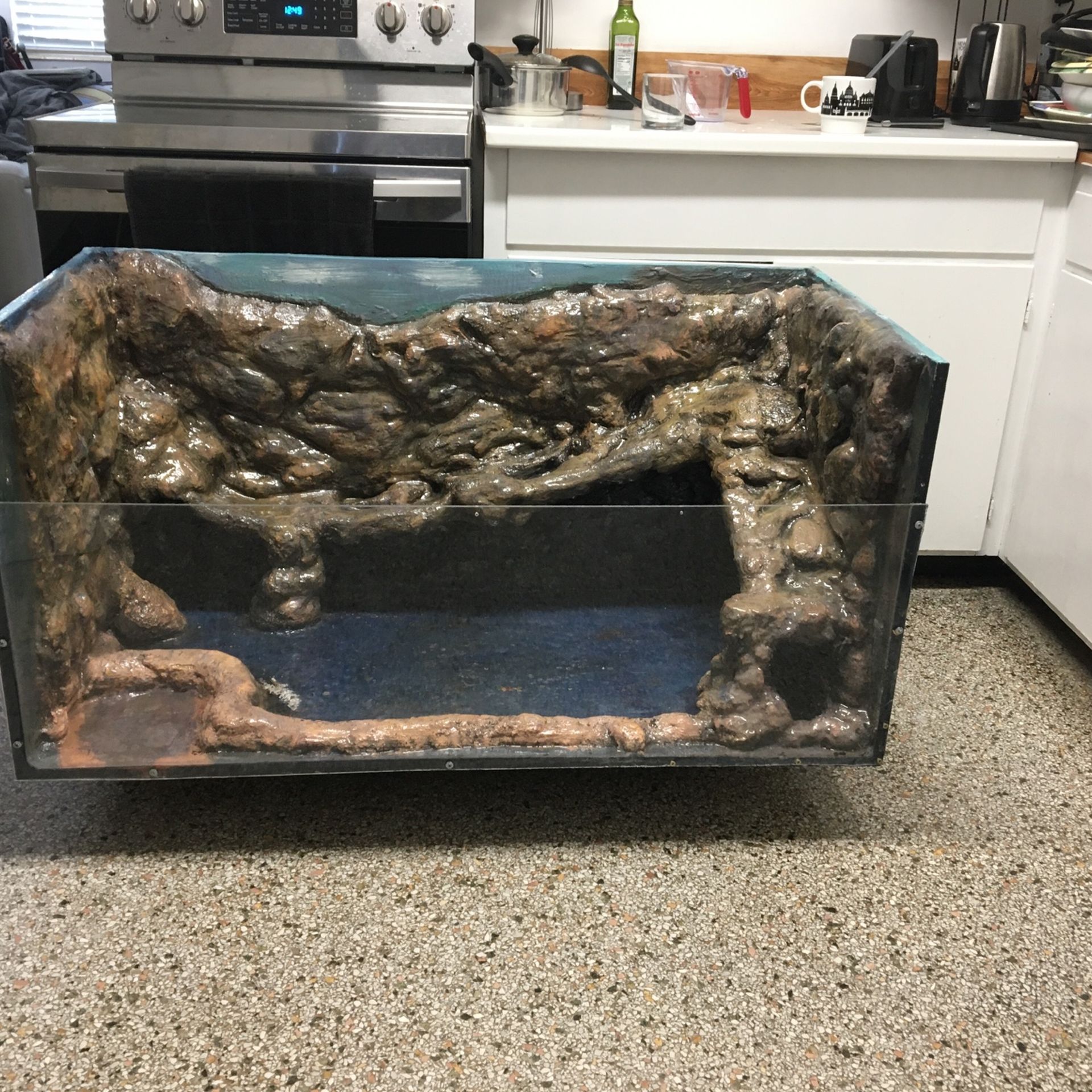 Custom Enclosure Reptile Tank