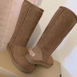 Women’s  Boots (Ugg) W Classic Tall 
