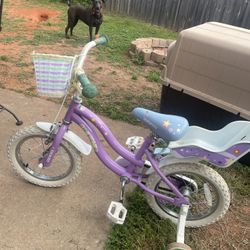 Kids Bike With Basket And Baby Seat 
