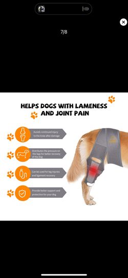 Dog Knee Brace