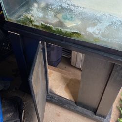 20 Gallon Fish Tank W/ Stand