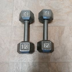 12 Lbs Dumbells