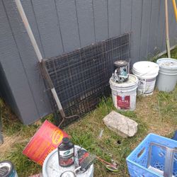 Dog Kennel