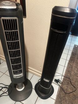 Fan.