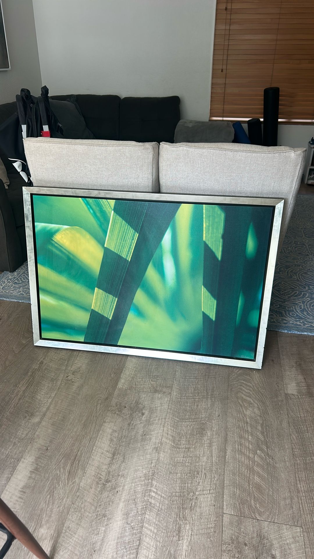 Framed Photograph