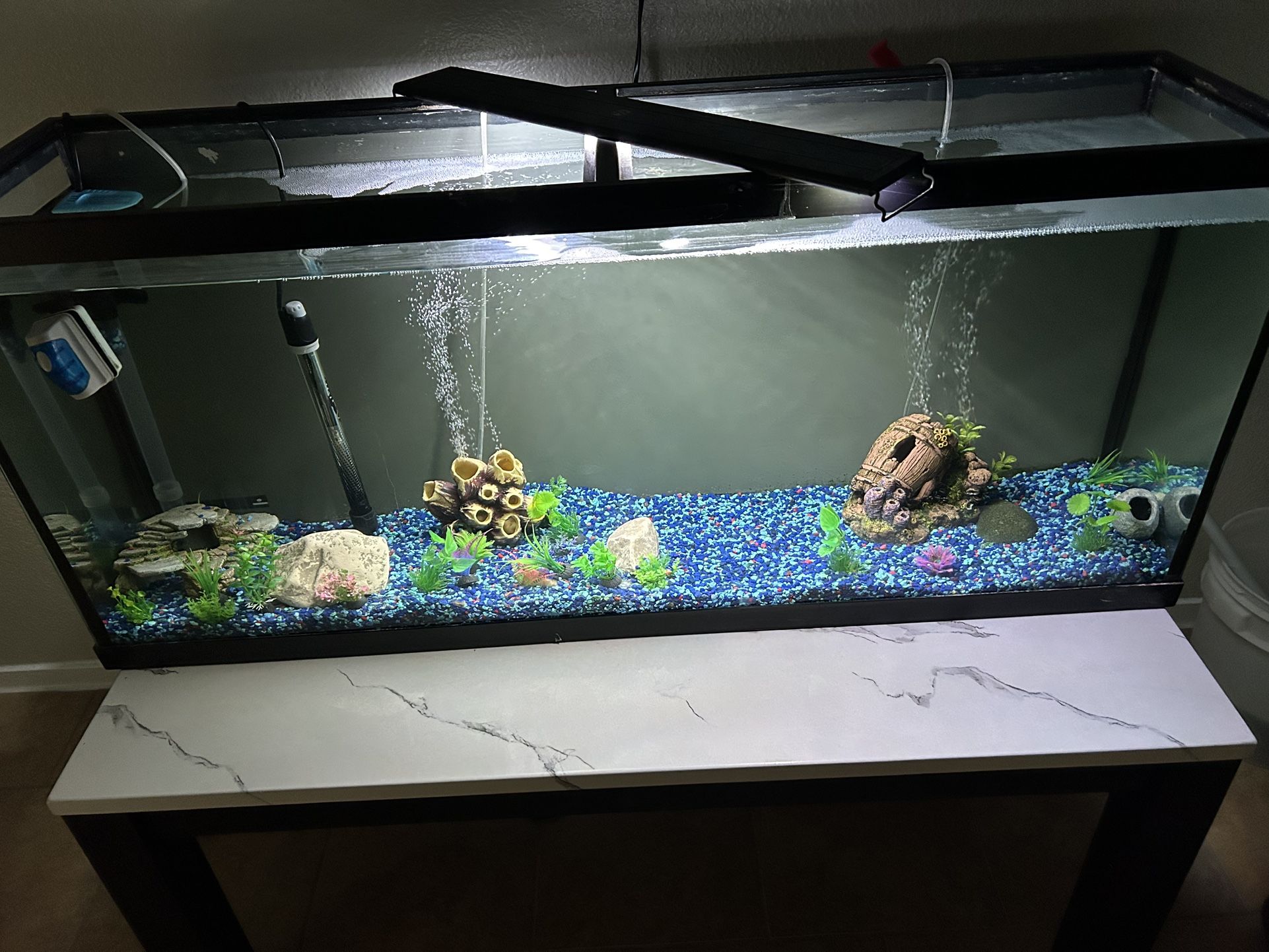 Fish Tank, 55 Gal