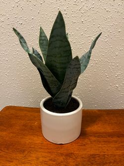 Artificial Plant in White Pot