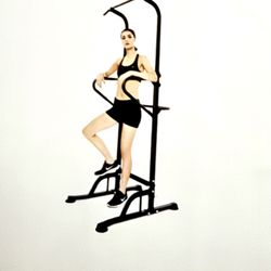 Pullup and Dip Station (New In Box)