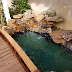 Water Gardens Pond Less Waterfalls Fountains Ecosystem Ponds Koi Ponds