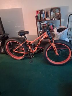 Mountain Bike