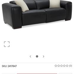 Plush 2 Piece Leather Sofa