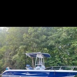 2001 Sea fox 23”